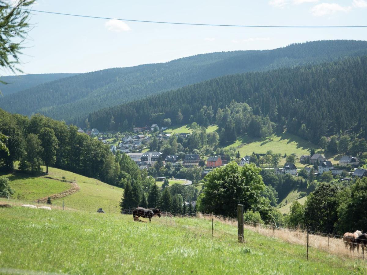 Homey Chalet In Breitenbrunn Rittersgrun Bagian luar foto